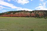 Tract 2 Belle River Ranch - Photo 29