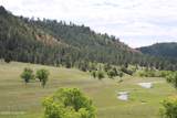 Tract 2 Belle River Ranch - Photo 31