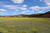 Tract 2 Belle River Ranch - Photo 33