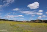 Tract 2 Belle River Ranch - Photo 34