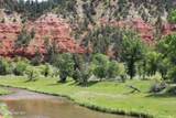 Tract 2 Belle River Ranch - Photo 36