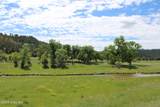 Tract 2 Belle River Ranch - Photo 38