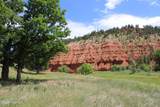 Tract 2 Belle River Ranch - Photo 39