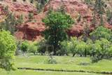 Tract 2 Belle River Ranch - Photo 40