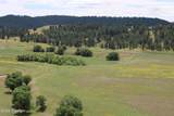Tract 2 Belle River Ranch - Photo 41