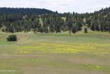 Tract 2 Belle River Ranch - Photo 42