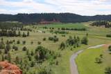 Tract 2 Belle River Ranch - Photo 44