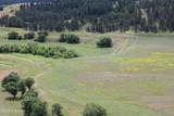 Tract 2 Belle River Ranch - Photo 45