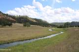 Tract 2 Belle River Ranch - Photo 50