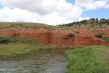 Tract 2 Belle River Ranch - Photo 51