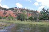 Tract 2 Belle River Ranch - Photo 55