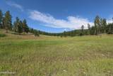 Tbd Reynolds Road - Photo 19
