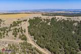 216 R Ranch Rd - Photo 54