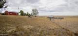 137 Cook Rd - Photo 110
