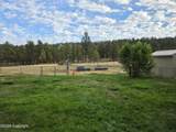 51 Dixon - Photo 42