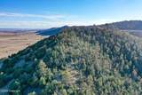 373 Whalen Canyon Rd - Photo 13