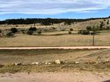 604 Douglas Rd - Photo 11