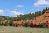 Tract 3 Belle River Ranch - Photo 17