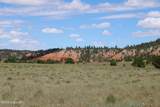 Tract 3 Belle River Ranch - Photo 18