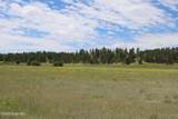Tract 3 Belle River Ranch - Photo 21