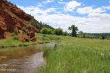 Tract 3 Belle River Ranch - Photo 27