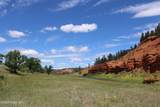 Tract 3 Belle River Ranch - Photo 30