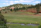 Tract 3 Belle River Ranch - Photo 31