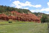 Tract 3 Belle River Ranch - Photo 34