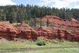 Tract 3 Belle River Ranch - Photo 36