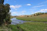 Tract 3 Belle River Ranch - Photo 37