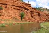 Tract 3 Belle River Ranch - Photo 44