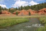 Tract 3 Belle River Ranch - Photo 47