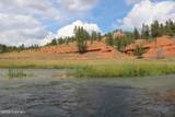 Tract 3 Belle River Ranch - Photo 48