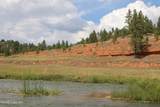 Tract 3 Belle River Ranch - Photo 49