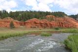 Tract 3 Belle River Ranch - Photo 50