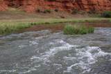 Tract 3 Belle River Ranch - Photo 51