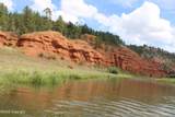 Tract 3 Belle River Ranch - Photo 53