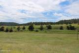 Tract 3 Belle River Ranch - Photo 56