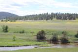 Tract 3 Belle River Ranch - Photo 60