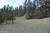 Tract 3 Belle River Ranch - Photo 63