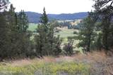 Tract 3 Belle River Ranch - Photo 66