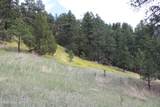 Tract 3 Belle River Ranch - Photo 67