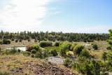 000 Skull Creek Rd - Photo 1