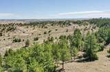 000 Skull Creek Rd - Photo 13