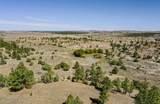 000 Skull Creek Rd - Photo 2