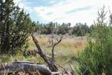 000 Skull Creek Rd - Photo 23