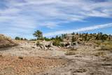 000 Skull Creek Rd - Photo 25