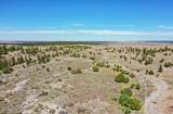 000 Skull Creek Rd - Photo 30