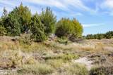 000 Skull Creek Rd - Photo 36