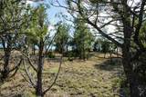000 Skull Creek Rd - Photo 42